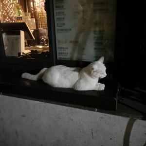 亚洲精品成人AV观看
